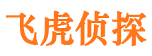 静海市调查公司